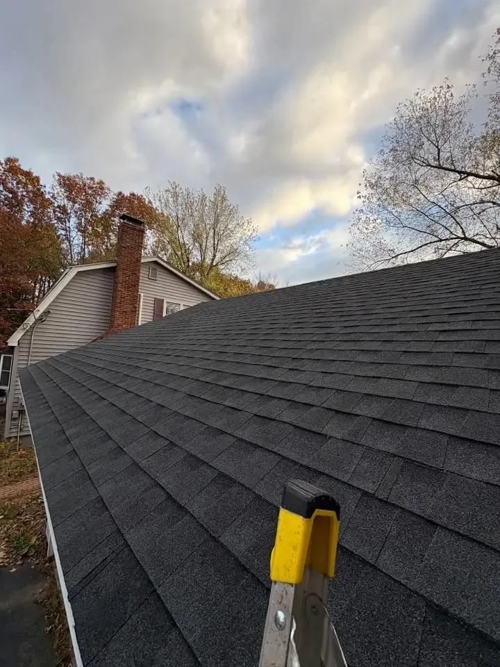 A dark architectural-shingle roof seen from the ridge, with a ladder top in the foreground and fall trees behind.