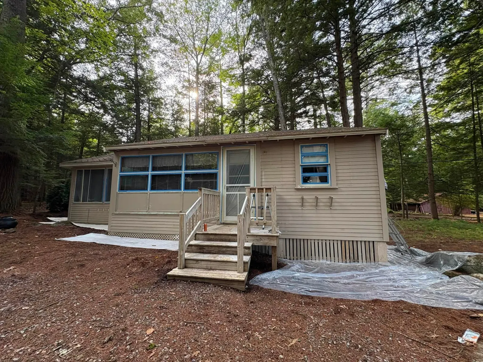A wide view of a beige-sided cottage in the pines with a new set of pressure-treated steps up to the door.