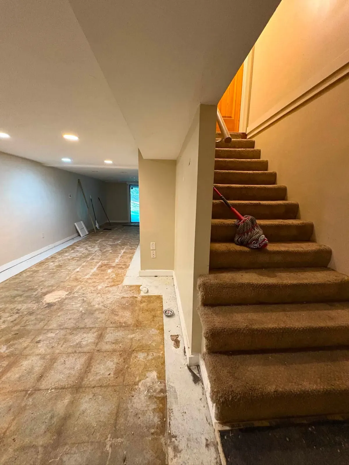 Looking up a carpeted basement staircase with a wood handrail, beside a freshly painted cream wall.